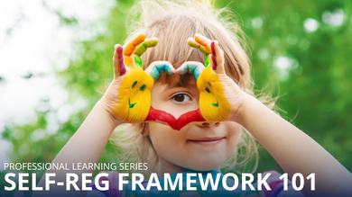 Self-Reg Framework 101 (Individual Access)