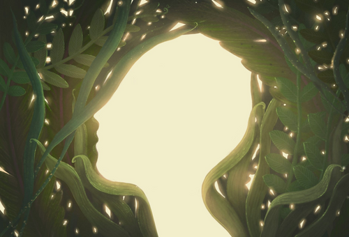 Self-Reg 7 Day Challenge