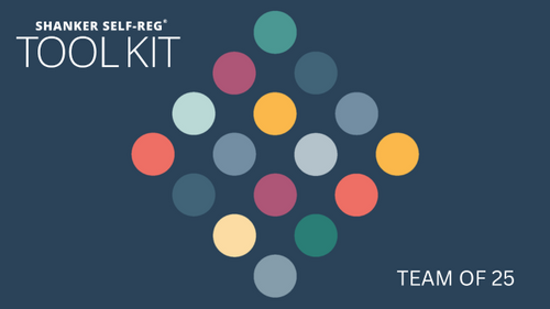 Shanker Self-Reg TOOLKIT - Team of 25