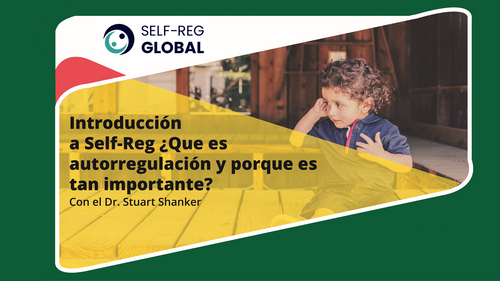 Seminario Web: Introducción a Self-Reg