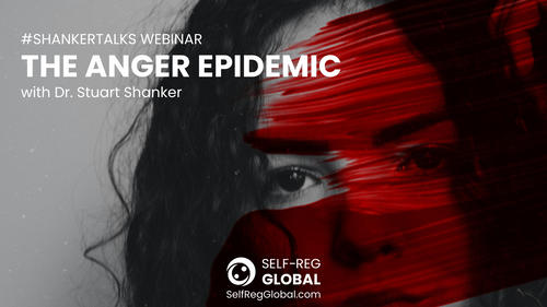 Webinar: The Anger Epidemic