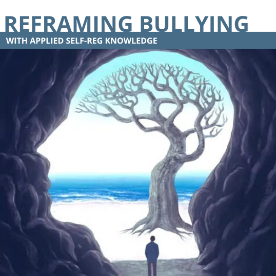 Reframing Bullying with Applied Self-Reg Knowledge Certificate Program
