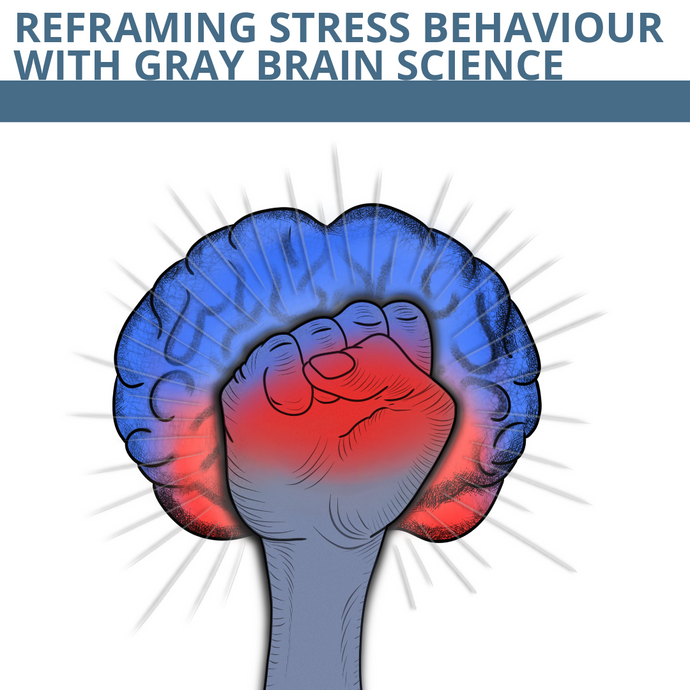 Reframing Stress Behaviour with Gray Brain Science